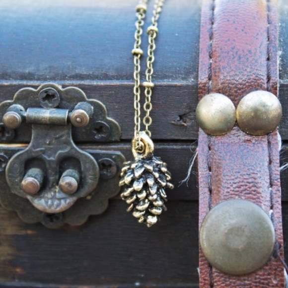 Jewelry - 🍁Boho Small Pinecone Necklace!